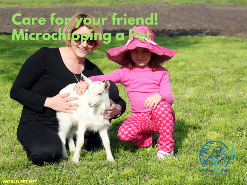 O metodă simplă și eficientă de înregistrare a animalelor